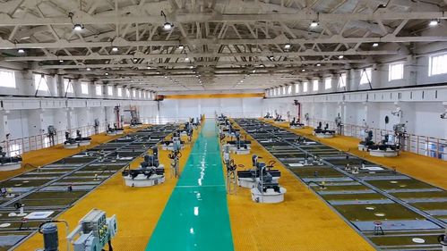 十六個季度的奮進答卷 金昌市以新能源技術(shù)開發(fā)驅(qū)動經(jīng)濟社會高質(zhì)量發(fā)展紀實